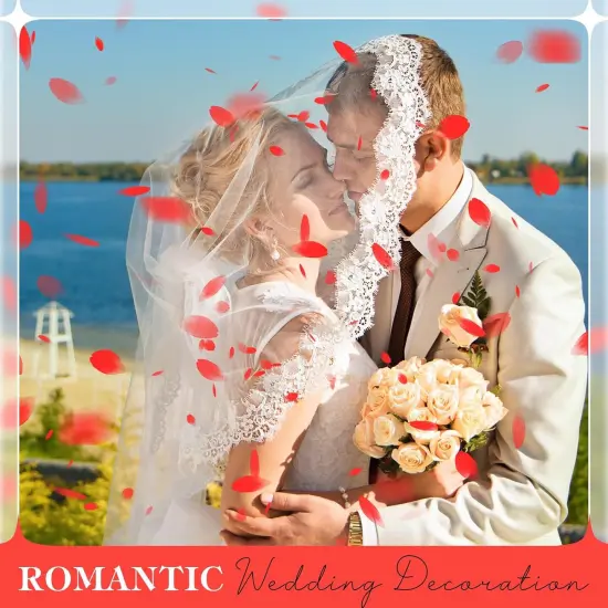 230 PCS Red Dired Rose Petals 2.1oz/60g Natural Real Rose Flower Petals for Wedding {4}