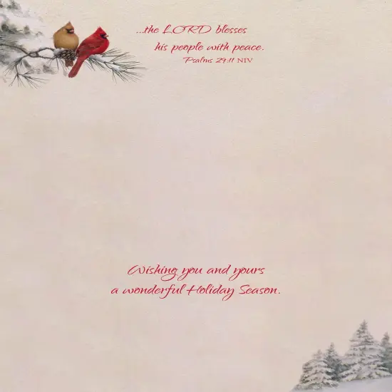 Large Boxed Christmas Card Assortment- Blessings of Christmas - 24 cards and envelopes {6}
