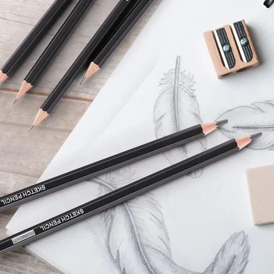 Professional Drawing Sketching Pencil Set - 12 Pieces Graphite Pencils(14B - 2H), Ideal for Drawing Art, Sketching, Shading, Artist Pencils for Beginners & Pro Artis {5}