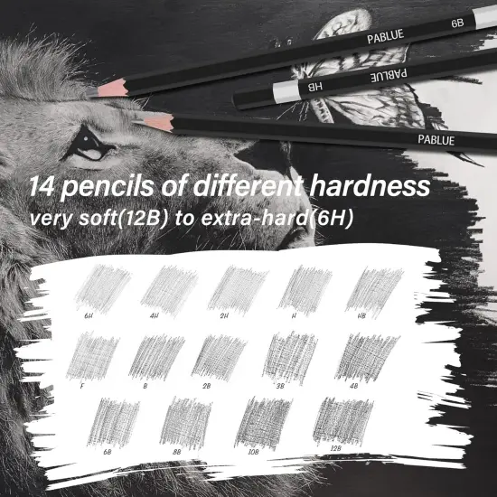 Professional Triangular Drawing Sketching Pencil Set,6H,4H,2H,H,HB,F,B,2B,3B,4B,6B,8B,10B,12B Graphite Shading Pencils for Beginners,ProArtists,Drawing,Drafting,Sketching,Shading(14 Pcs) {5}