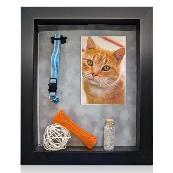 iFrame Pet Memorial Shadow Box and Pets Picture Frame for 4"x6" Photo | Pets Memorial Gifts for Pets Lover | Pet Collar, Pet Ashes Keepsake, Toys & Gift for Someone Who Lost A Pet | Made in USA {9}