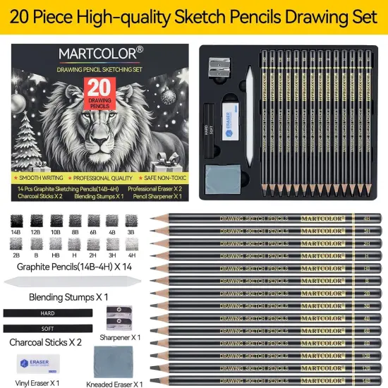 Drawing Sketching Pencil Set, 20 Pieces, Graphite Pencils (14B-4H), Charcoal Sticks, Stump, Eraser, Sharpeners, Ideal for Drawing Art, Sketching, Artist Pencils for Beginners & Pro Artists {2}