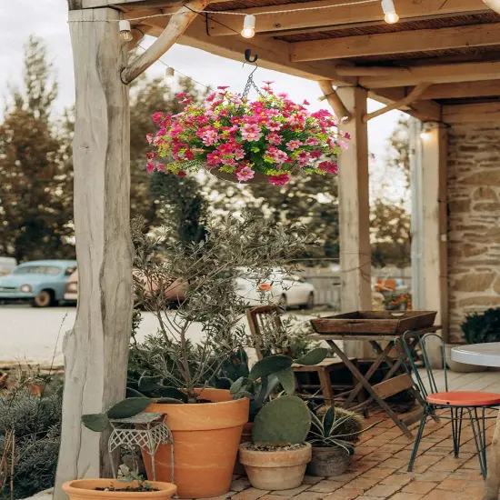 Artificial Faux Hanging Plants Flowers Basket for Autumn Winter, Red Daisy Flowers Eucalyptus UV Resistant Look Real for Outdoor Outside Porch Decoration {3}