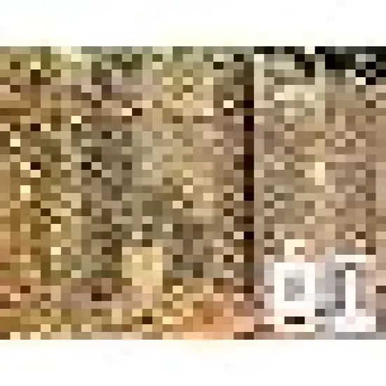 Hanging Light with Remote Timer Fairy Curtain Light {6}