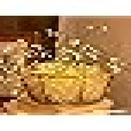 Twinkle Light for Outdoor Indoor Christmas Wedding Birthday Garden Party {4}