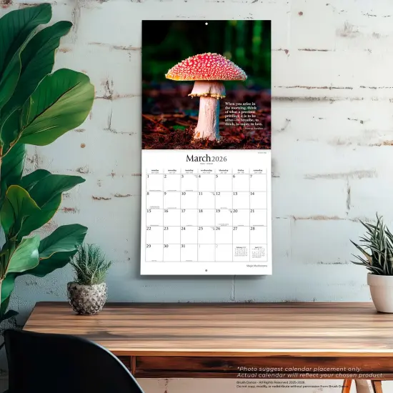 Magic Mushrooms | 2026 12 x 24 Inch (Hanging) Monthly Square Wall Calendar | Plastic-Free {5}