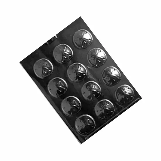 Sand Dollar Bite Size Chocolate Mold {2}