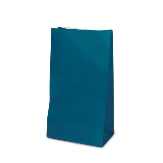 Colored Paper Bags 5'' x 3 1/8'' x 9 5/8'' Large Packs {2}