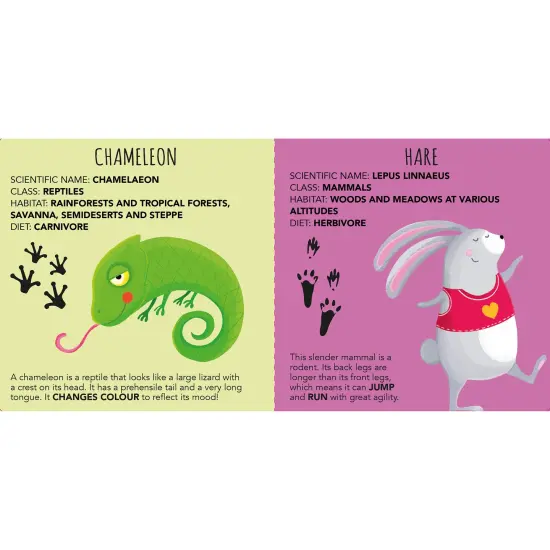 Sassi: Edu-Blocks - Animals - 10 Stacking Cubes & Booklet Set, Nature-Colored Tracks-Shapes-Numbers-Animals, Learn & Play Education, Kids-Toddlers 2+ {5}