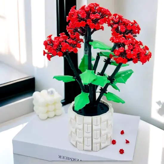 Ipomoea Quamoclit Building Brick Potted Flower F07M9-6(101) {3}