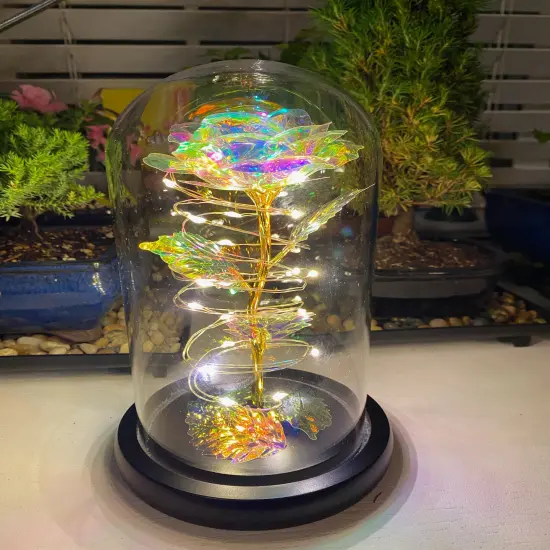 Light Up Rose in A Glass Birthday Gift for Woman Mothers Day Flowers Gift for Mom Rose Flower Gift for Her Anniversary Gift Preserved Flowers {1}