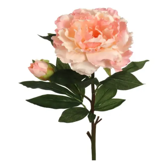 4pcs 30" Peony Stem {1}