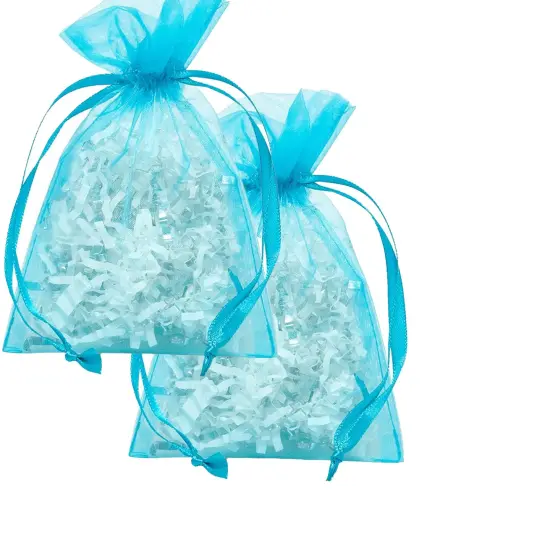 Mini Organza Bags 6&rdquo; x 9&rdquo; for Special Gifts {6}