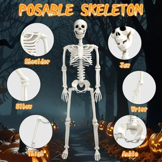 2 pcs 3 ft Life Size Posable Skeleton Full Body with Movable Joints {3}