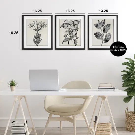 Stupell Industries Classic Natural Botanicals 3pc Framed Print Under Glass Set, design by Karen Smith {3}