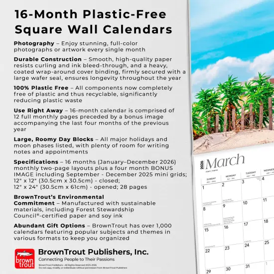 Jersey Shore | 2026 12 x 24 Inch (Hanging) Monthly Square Wall Calendar | Plastic-Free {6}