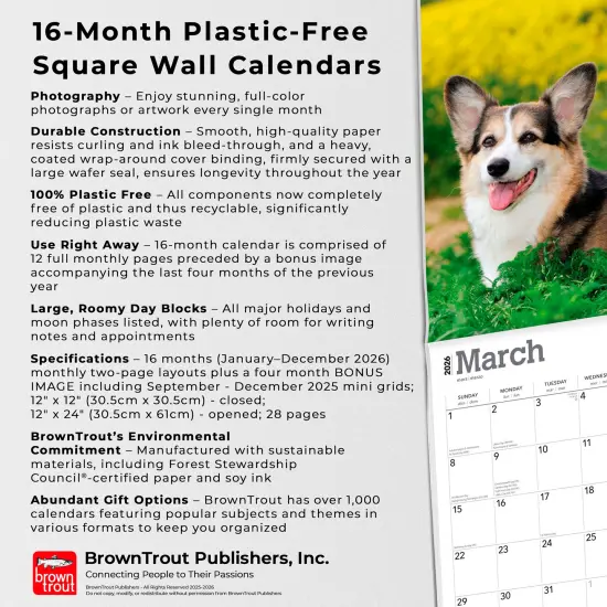 Pembroke Welsh Corgis | 2026 12 x 24 Inch (Hanging) Monthly Square Wall Calendar | Plastic-Free {6}