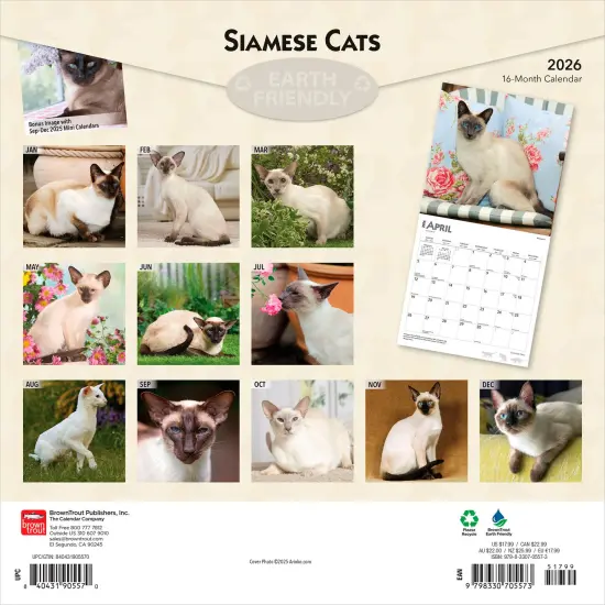 Siamese Cats | 2026 12 x 24 Inch (Hanging) Monthly Square Wall Calendar | Plastic-Free {2}