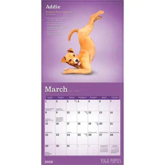 Yoga Puppies OFFICIAL | 2026 7 x 14 Inch (Hanging) Monthly Mini Wall Calendar {3}