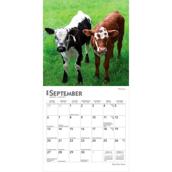 Baby Moo Moos | 2026 7 x 14 Inch (Hanging) Monthly Mini Wall Calendar {4}