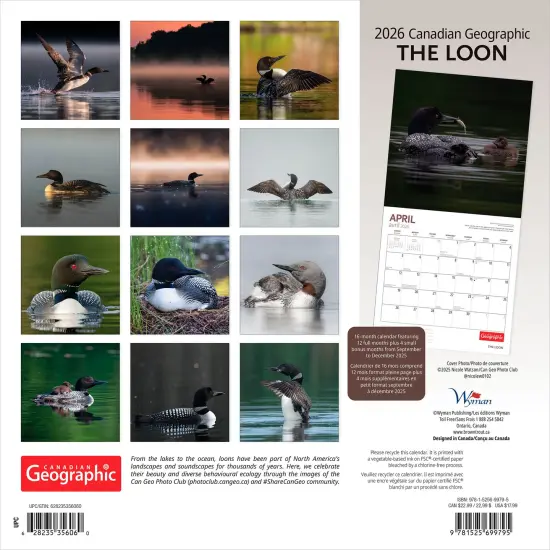 Canadian Geographic The Loon OFFICIAL | 2026 12 x 24 Inch (Hanging) Monthly Square Wall Calendar | Foil Stamped Cover {2}