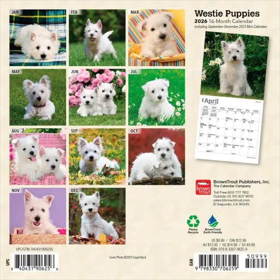 West Highland White Terrier Puppies | 2026 7 x 14 Inch (Hanging) Monthly Mini Wall Calendar {2}