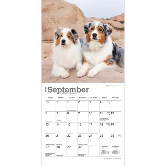 Australian Shepherds | 2026 7 x 14 Inch (Hanging) Monthly Mini Wall Calendar {4}