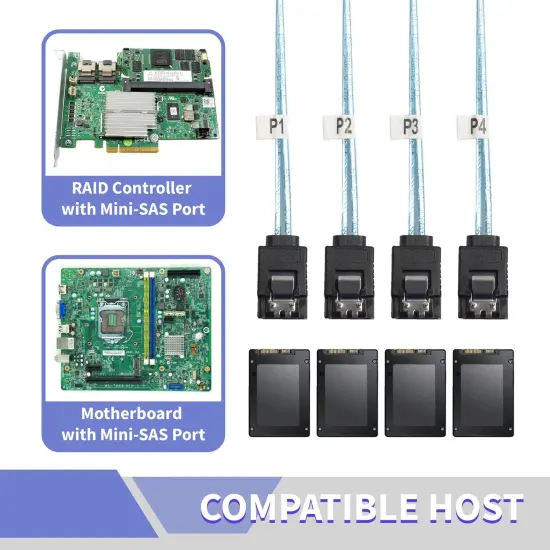 Mini SAS to 4 SATA Transfer Cable, with Tags, Connects a Blue, 3.3 ft. {2}