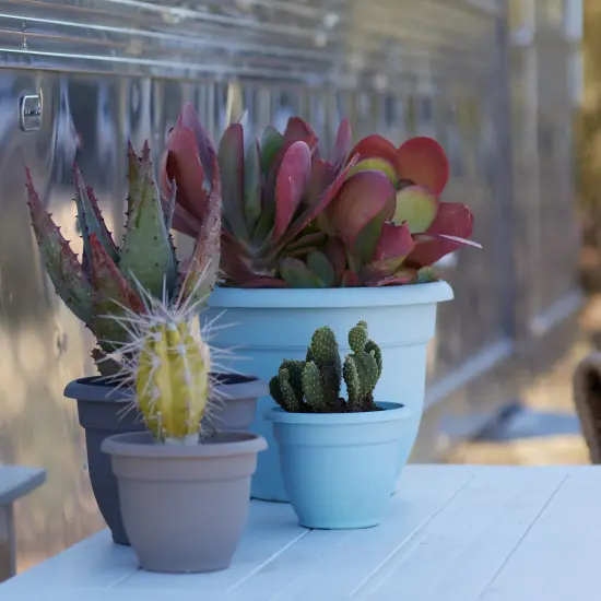 Bloem Ariana Pot Planter: 16" - Misty Blue - Durable Resin Pot, Indoor and Outdoor Use, Gardening, Self Watering Disk Included, 6 Gallon Capacity {6}