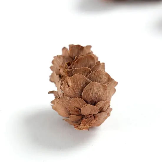Pine Cones, Mini Pinecones in Bulk for Crafts, 8OZ, Pack of 110 (Natural) {5}