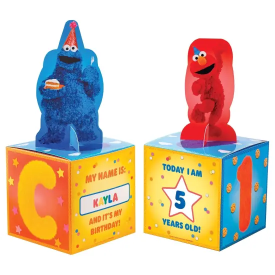 Everyday Sesame Street Centerpiece Decoration Kit {1}