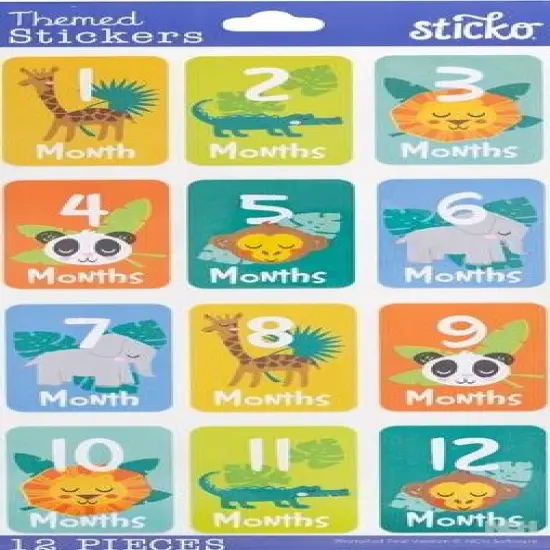 Sticko Baby Boy Month Stickers {1}