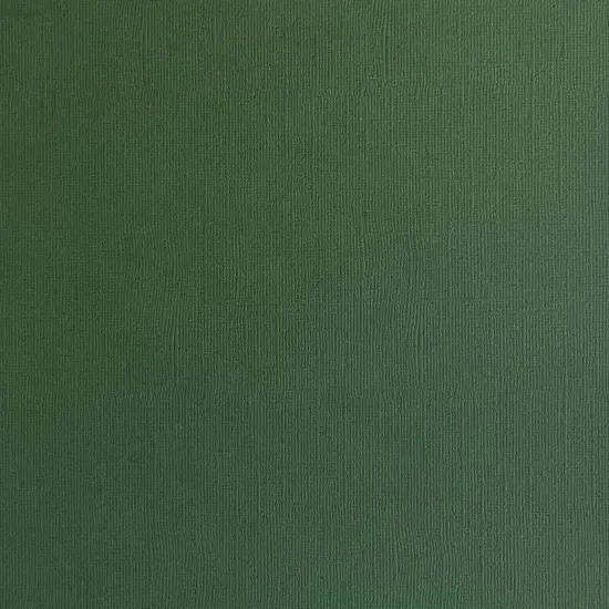 HUNTER GREEN - Textured 12x12 Cardstock - Encore Paper {1}