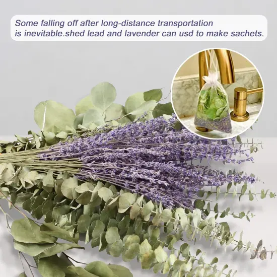 120 PCS Mix Dried Eucalyptus Stems & Lavender Flowers for Shower - 17'' Real Large Silver Dollar Leaves Branches, Fresh Hanging Plants for Vase, Natural Fragrance, Home Aromatic, Wedding Decor {5}