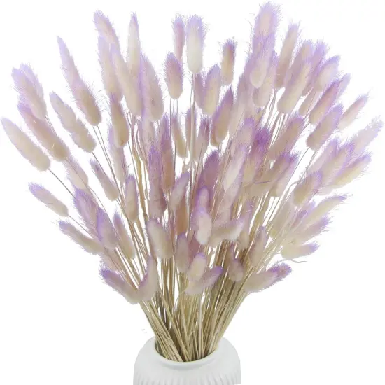 120 Pcs Dried Bunny Tails Flower Natural Lagurus Ovatus Dried Flowers Rabbit Tail Grass Dried Pampas Grass Dried Floral Arrangement for Boho Decor Wedding Party Home DIY Farmhouse Table Purple {1}
