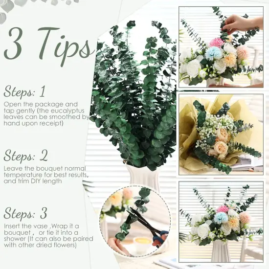 80 Pcs Large Dried Eucalyptus Stems 17inch Natural Real Fresh Eucalyptus Branches for Shower Hanging Fresh Plant Greenery Leaves for Wedding Bathroom Vase Filler DIY Garland Decor {3}