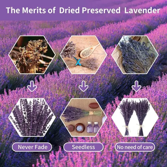 Dried Preserved Lavender Flowers Bundle-Natural Dried Lavender Bouquet 180-200 Stems 15''-17" for Wedding Home Shower Vase Decor, Aromatherapy, Fragrance, Fresh, Dry, 2 Packs {2}