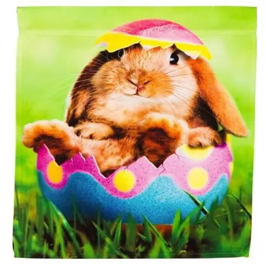 Easter Egg Garden 2 Sided Yard Flag {1}