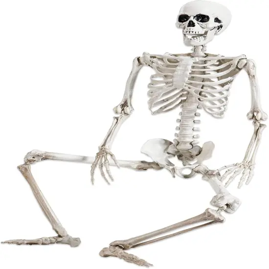 36" Halloween Skeleton Decorations {1}