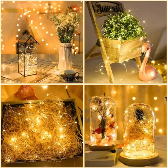 2 Pack 7.2ft Fairy Lights Battery Operated {3}