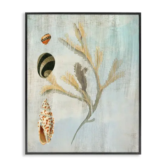 Stupell Industries Mixed Seashells & Coral Framed Giclee Design by Susan Arnot {1}