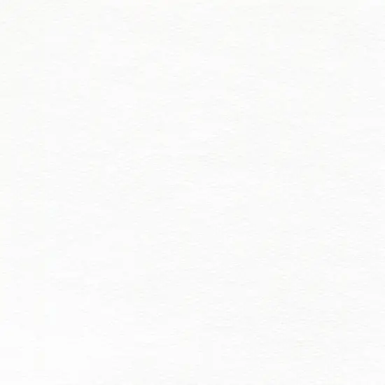 Canson XL Mixed Media Roll-36"X10yds {1}