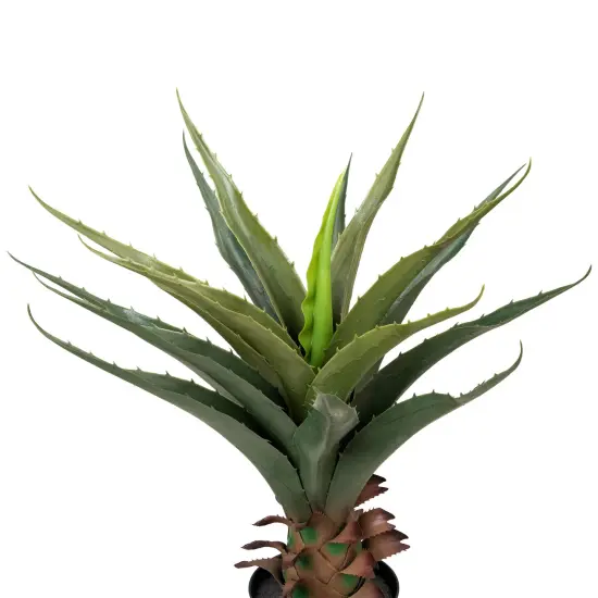 Northlight Artificial Potted Aloe Plant - 24" Green {5}
