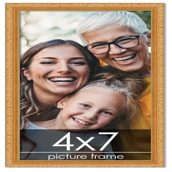 4x7 Museum-Quality Picture Frame with UV-Resistant Acrylic & Acid-Free Backing, Available in 4 Finishes - Gold, Silver, Bronze, and Black {1}
