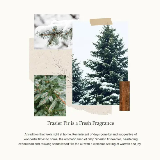 Frasier Fir Pine Needle Votive Candle - Scented Candle with Notes of Siberian Fir, Cedarwood, and Sandalwood - Holiday Candle with a Luxury Home Fragrance (2 oz) {1}