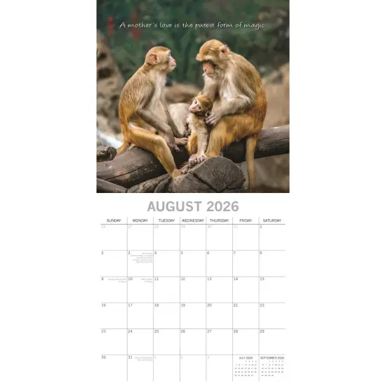 The Gifted Stationary 2026 Square Wall Calendar, Mother's Love, 16-Month Animals Theme Hanging Calendar with 180 Reminder Stickers, Month Planner for Home, or Creative Spaces, 12x12 In Multicolor {3}