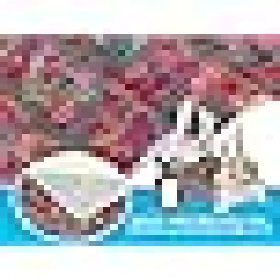 Quilting Fabric Bundles for Quilt, Sewing Project, Patchwork Precut Quilt Squares {3}