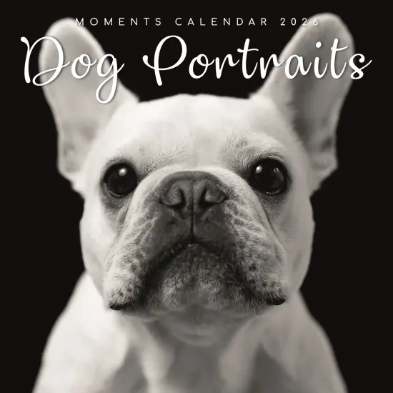 The Gifted Stationary 2026 Square Wall Calendar, Dog Portraits, 16-Month Black and White Photos with 180 Reminder Stickers (12 x 12 In) Multicolor {1}