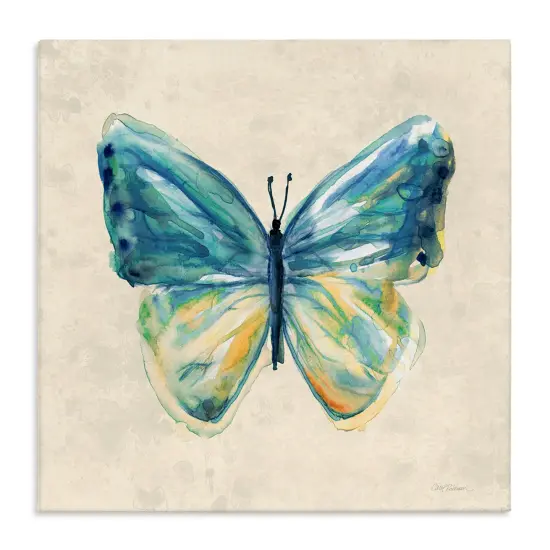Stupell Industries Bright Watercolor Butterfly Canvas Design by Carol Robinson {1}