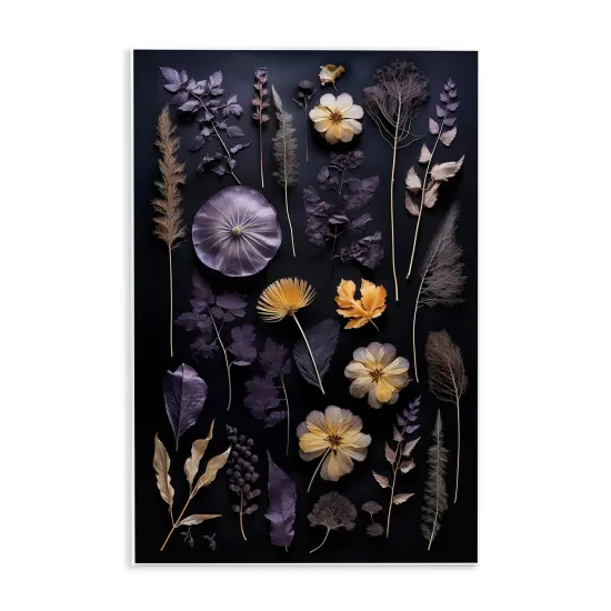 Stupell Industries Flower Specimens on Black Wall Plaque Design By Heidi Kuntz {1}